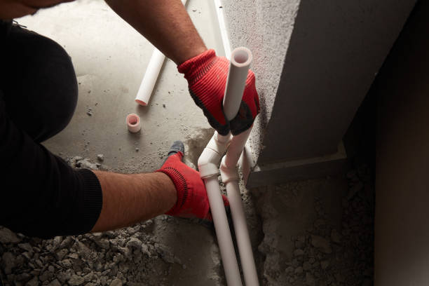 Best Local Plumber Services  in Osseo, MN