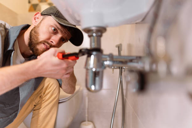 Best Plumbing Services Near Me  in Osseo, MN